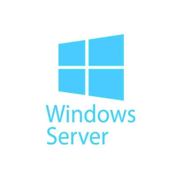 MICROSOFT - [Windows Server CAL] WinSvrCAL SA OLP NL Gov UsrCAL [Pemerintah]