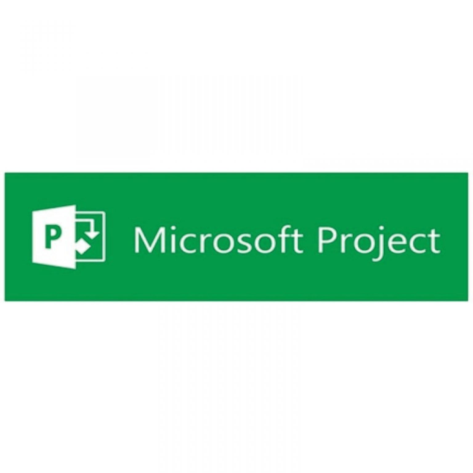 MICROSOFT - [Project Server]PrjctSvr 2019 OLP NL Gov[Pemerintah]