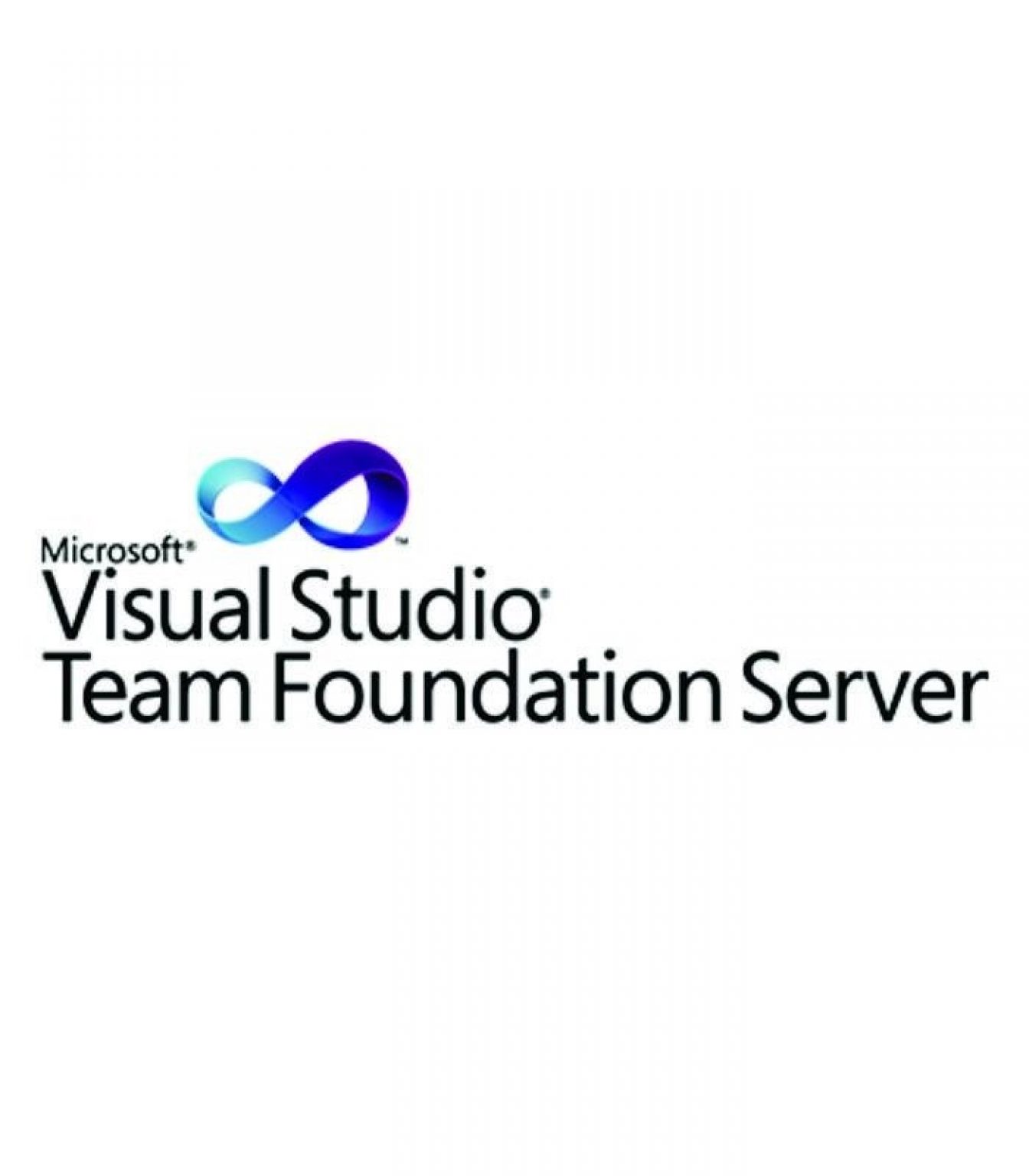 MICROSOFT - [Visual Studio TFS Server CAL] VSTeamFndtnSvrCAL SA OLP NL Gov UsrCAL [Pemerintah]