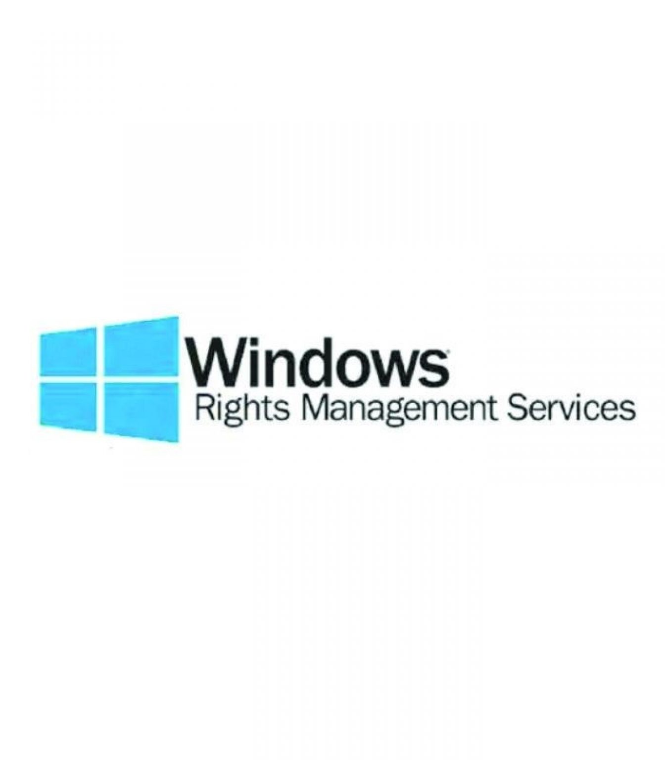 MICROSOFT - [Windows Rights Mgmt Services CAL] WinRghtsMgmtSrvcsCAL WinNT SA OLP NL Gov UsrCAL [Pemerintah]