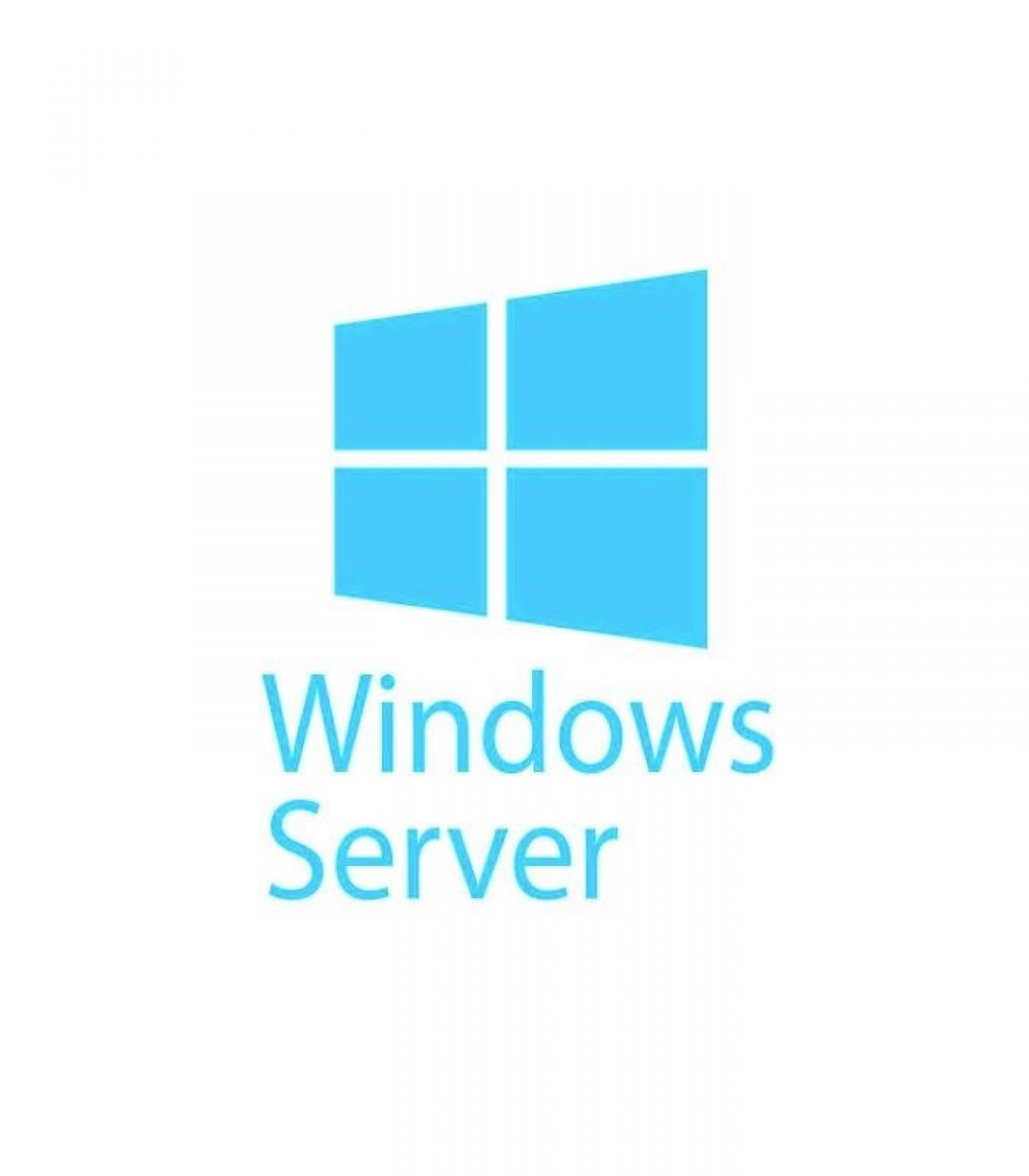 MICROSOFT - [Windows Server CAL]WinSvrCAL 2019 OLP NL Gov UsrCAL[Pemerintah]